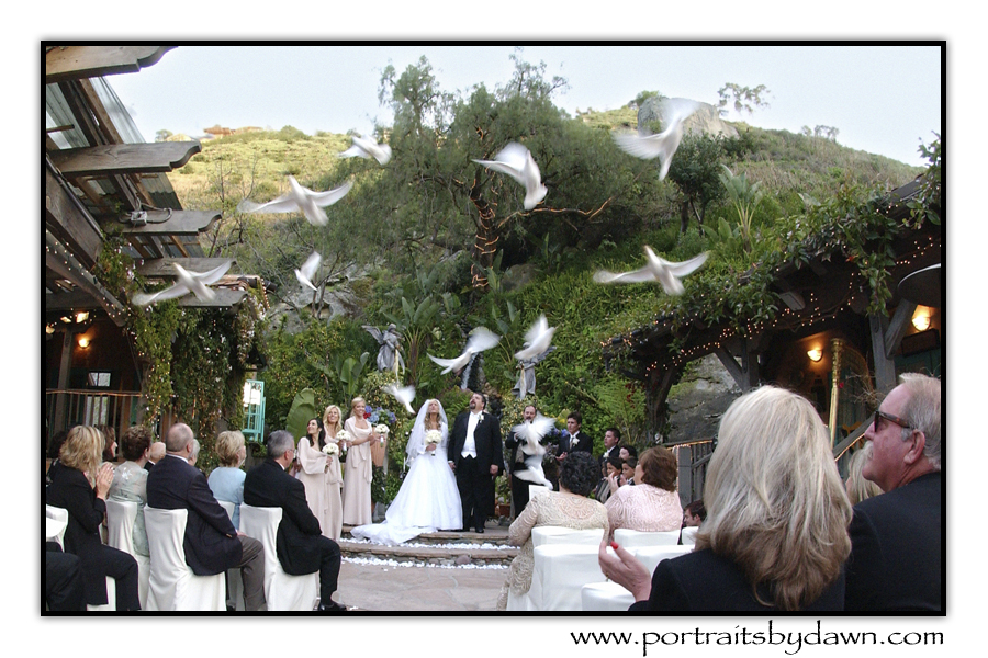 Group Release at Tivoli Too in Laguna Beach, CA