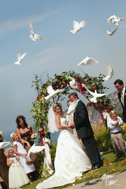 40 Bird Release at Ritz Carlton, Laguna Niguel,CA Photo by Blue Cotton